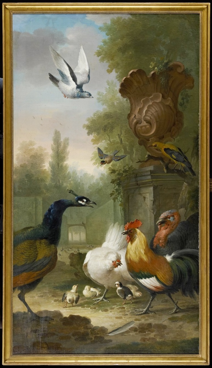 Uitgaande bruikleen: Aert Schouman, Schoorsteenstuk met vogels en pluimvee, 1754 (olieverf op doek)