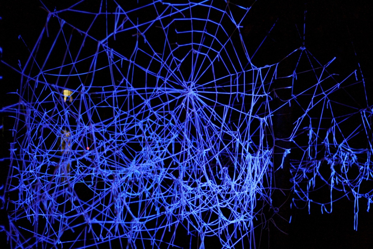 Glow in the Dark web op he6 Abdijplein tijdens N8vdN8