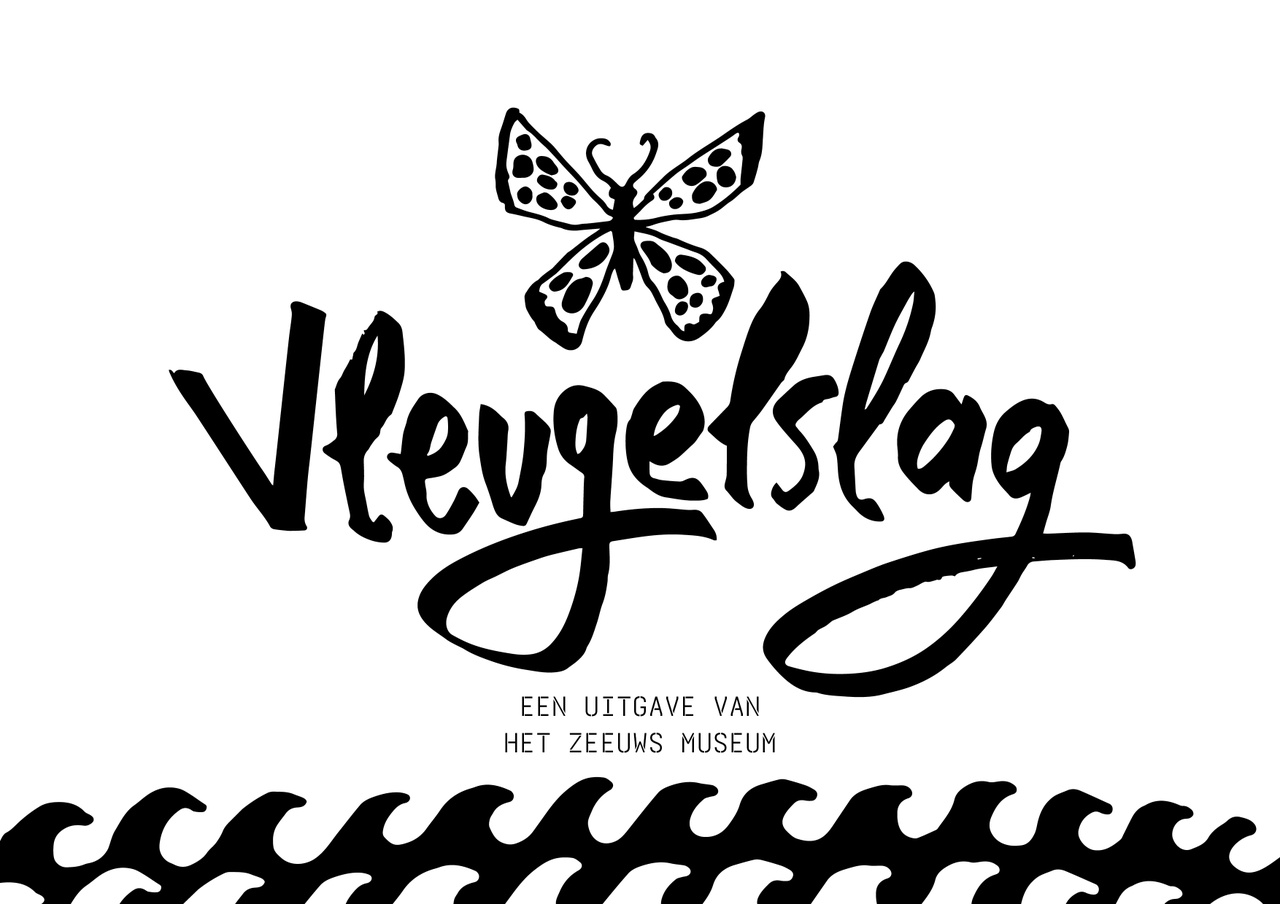 ZM Vleugelslag boekblok cover. Ontwerp Robin Stam