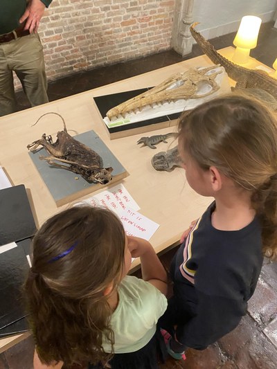 Expeditie Next, Walvis aan de wandel - foto Viorella Luciana