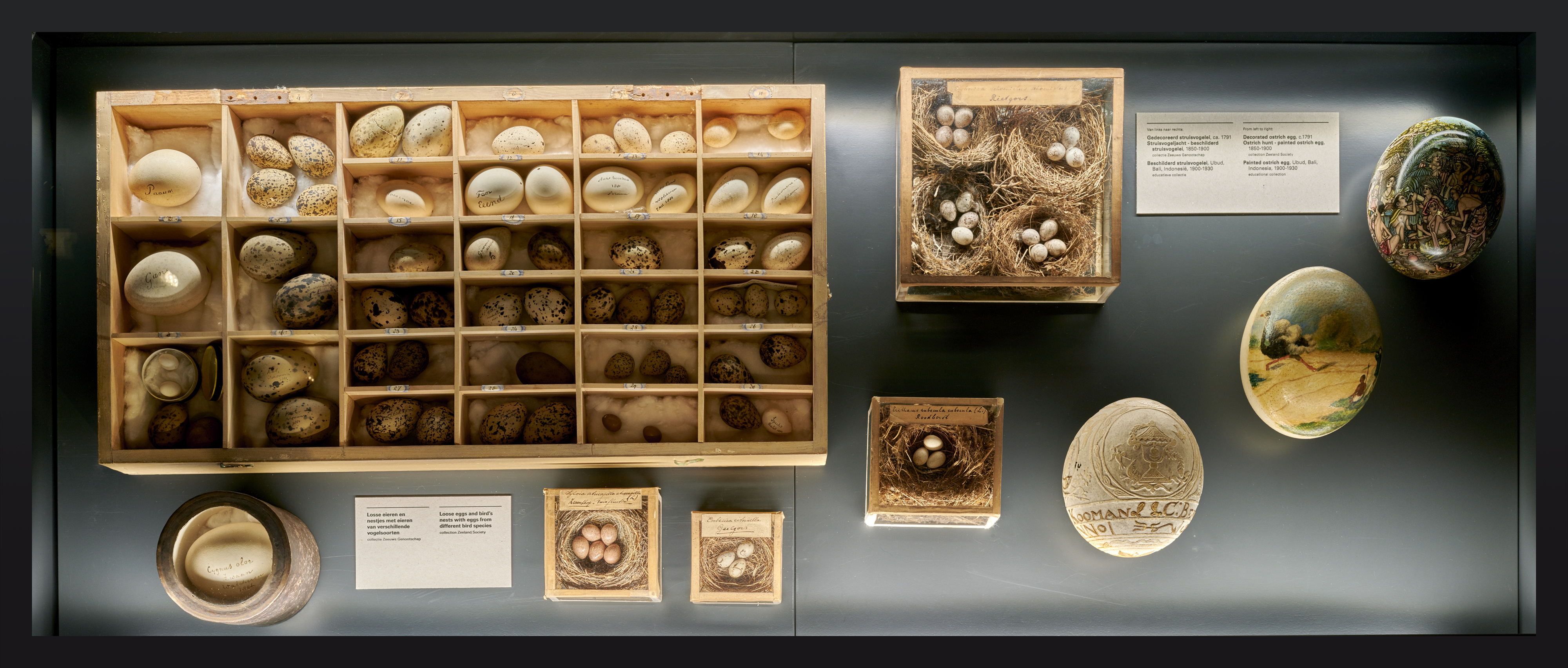 Collectie natuurhistorie KZGW - foto Pim Top